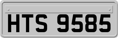 HTS9585