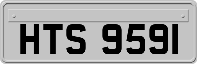 HTS9591