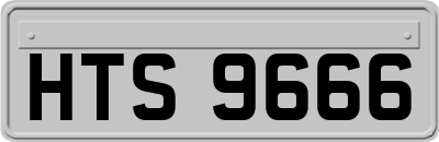 HTS9666