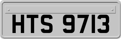 HTS9713