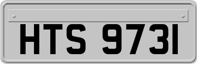 HTS9731