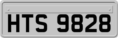 HTS9828