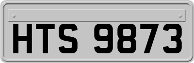 HTS9873