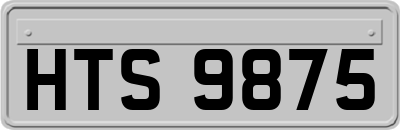 HTS9875