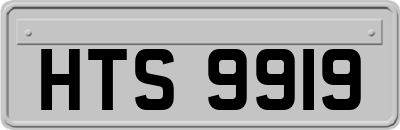 HTS9919