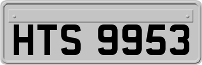 HTS9953
