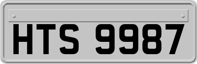 HTS9987