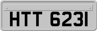 HTT6231