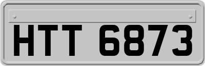 HTT6873