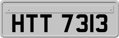 HTT7313