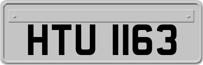 HTU1163