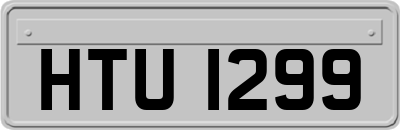 HTU1299