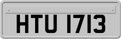 HTU1713