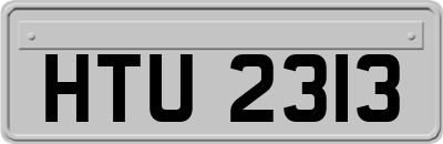 HTU2313