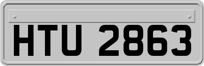 HTU2863
