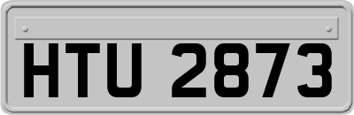 HTU2873