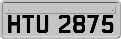HTU2875