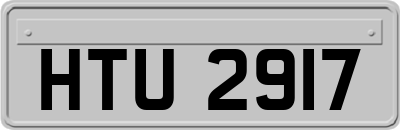 HTU2917