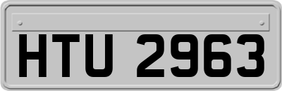 HTU2963