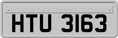 HTU3163