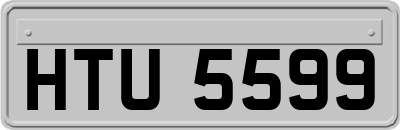 HTU5599