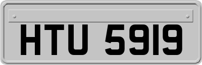 HTU5919