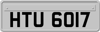 HTU6017
