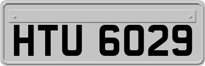 HTU6029