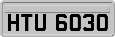 HTU6030