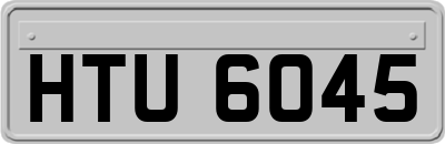 HTU6045