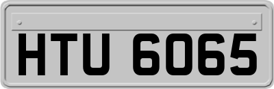 HTU6065