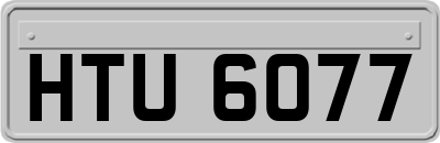 HTU6077