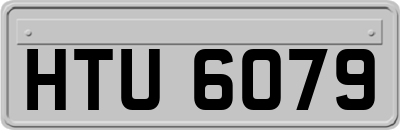 HTU6079
