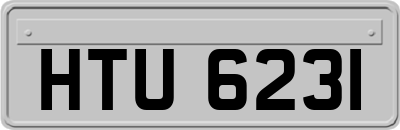 HTU6231