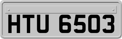 HTU6503