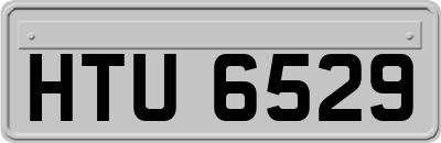 HTU6529