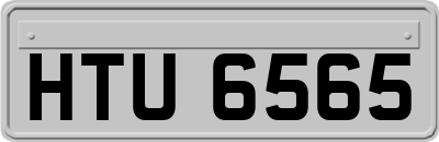 HTU6565