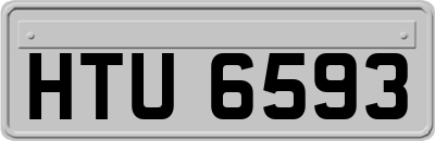 HTU6593