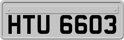 HTU6603