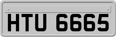 HTU6665
