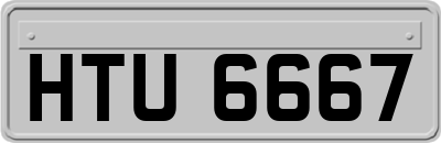 HTU6667