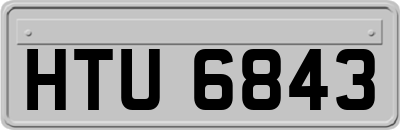 HTU6843