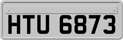 HTU6873