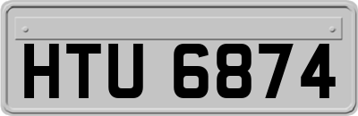 HTU6874