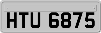 HTU6875