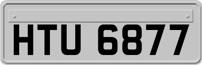 HTU6877