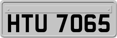 HTU7065