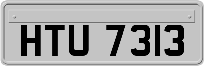 HTU7313