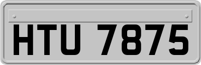 HTU7875