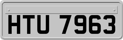 HTU7963